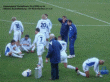 thm_Aschaffenburg - Kleinkarben 15.4.08 05.gif